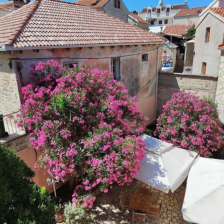 Guest House Adria Primošten Zewnętrze zdjęcie