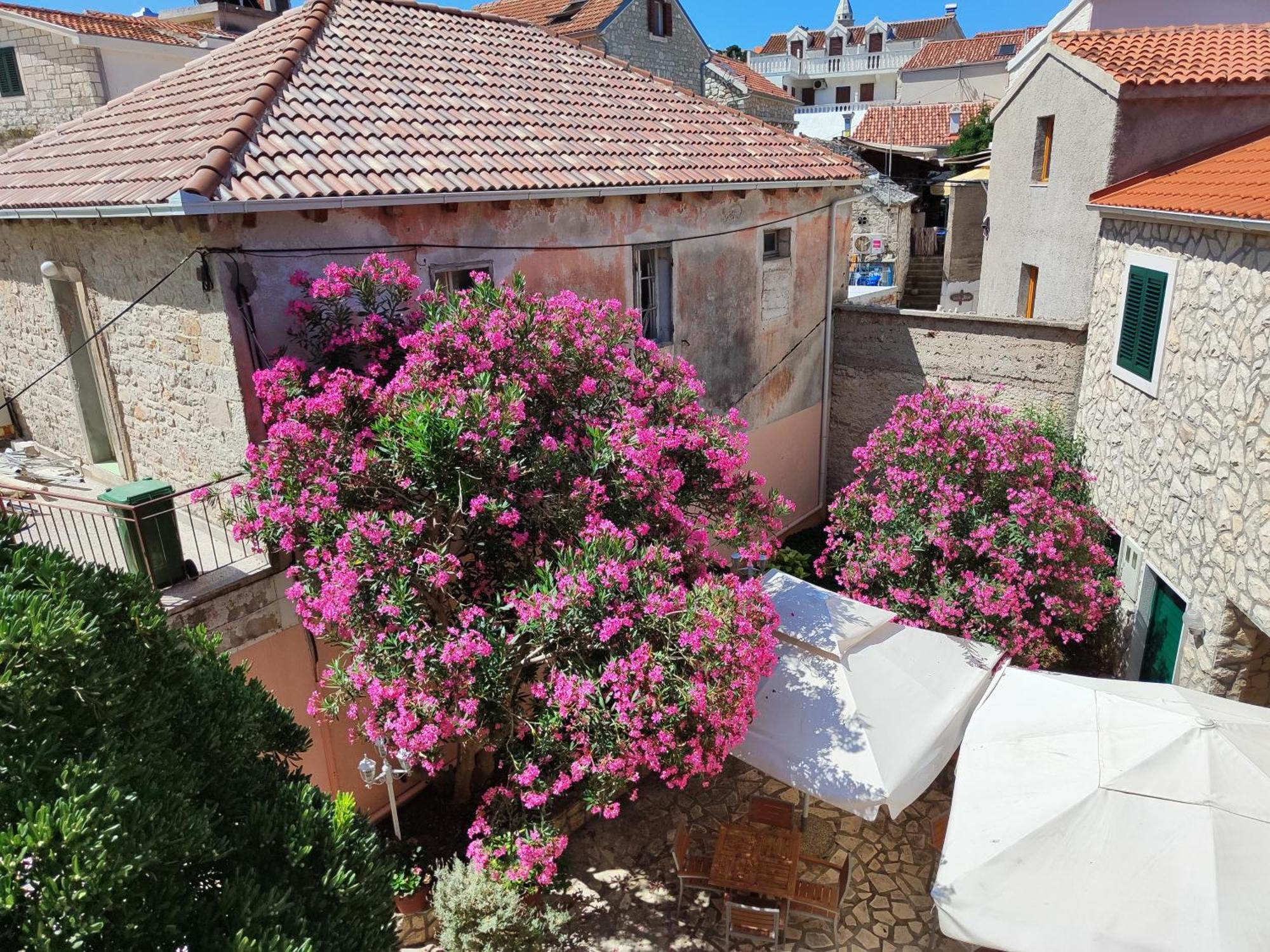 Guest House Adria Primošten Zewnętrze zdjęcie